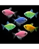 Group of GloFish