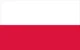 Fake poland