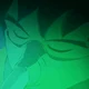 Baby Broly