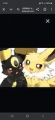 Jolteon X Umbreon
