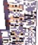 Female MissingNo