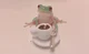 Tea Time with a frog