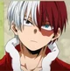Shoto Todoroki
