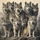 Wolf pack