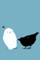 Snowy Owl and Crow