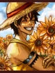 Luffy