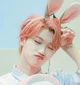 Felix-bunny hybrid