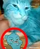 Gumball mewing