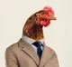 Fancy Chicken