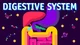 Digestive System