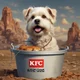 Dog in a KFC Bucket