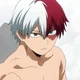 Shoto Todoroki