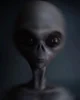 alien named bob