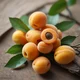 Apricot