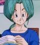 Bulma Briefs