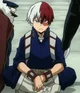 Shoto todoroki 