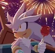 Silver The Hedgehog 