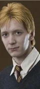 Fred Weasley 
