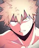 Bakugo katsuki 