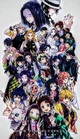 Hashira limited life