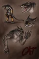 Werecat 