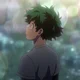 Izuku midorya 