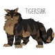 tigerstar