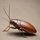 Spinning Cockroach