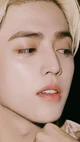 Seungcheol 