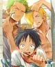 Zoro Sanji Luffy