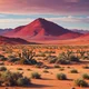 Desert 