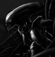 Fem Xenomorphs