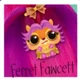 Ferret Fawcette