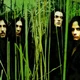 TYPE O NEGATIVE