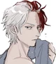 Shoto Todoroki 