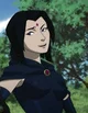 Animated Raven