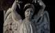 Weeping angel