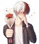 Shoto Todoroki 