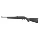 Ruger 10-22