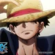 Monkey D Luffy 