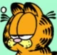 Garfield the Cat