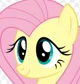 Fluttershy