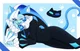 Shadow milk cookie