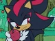Shadow The Hedgehog 