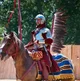 Winged Hussar
