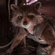 Rocket raccoon