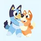 Bluey n Bingo