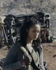 Harriet - tmr