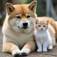 Shiba and Mika