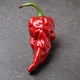Ghost pepper